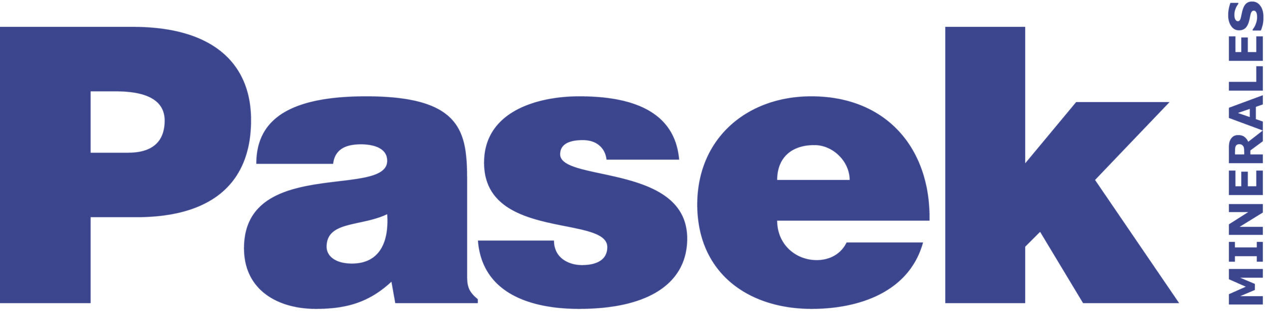 Pasek